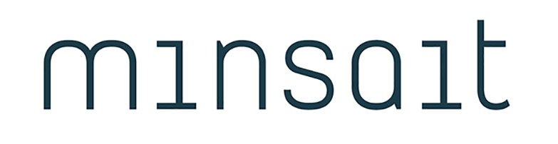 Minsalt logo empresa