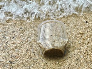Economía circular plástico en el mar
